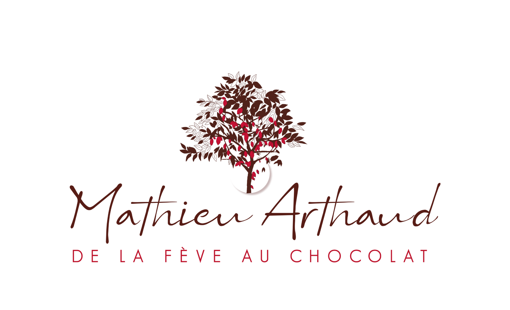 Logo-MATHIEU-ARTHAUD